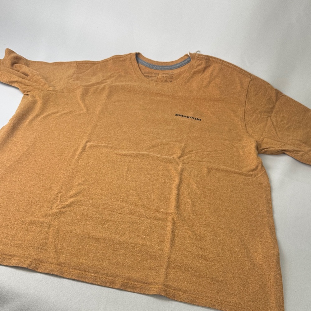 Patagonia Men's Brown/Burnt Orange Short Sleeve Tee